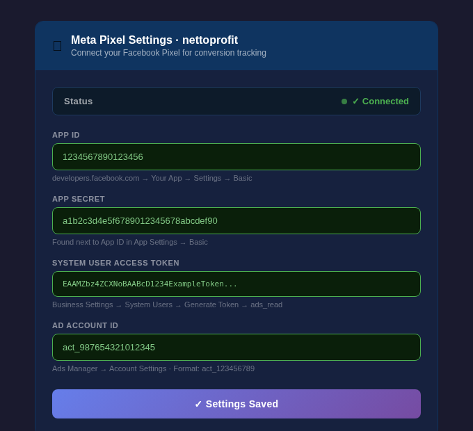 NettoProfit Meta Ads settings panel